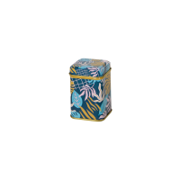 Tropicale square tin 25 g with slip lid